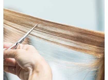 イシハラ(Ishihara)の写真