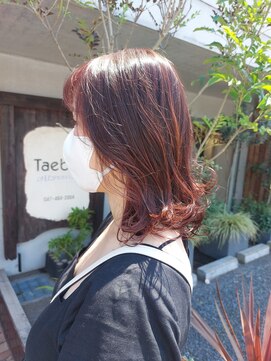 タエビスアリッサム(Taebis Alyssum) ミディアムレイヤー(イルミナカラー、北習志野)