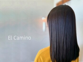 El Camino【エルカミーノ】