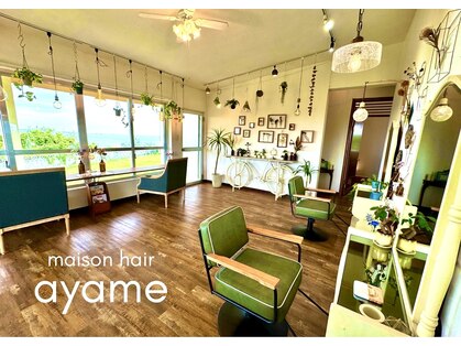 アヤメ(ayame)の写真