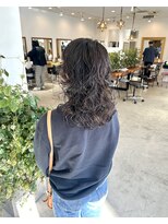 ミルクボーイ(milk boy)&nbsp;ウルフ×パーマ