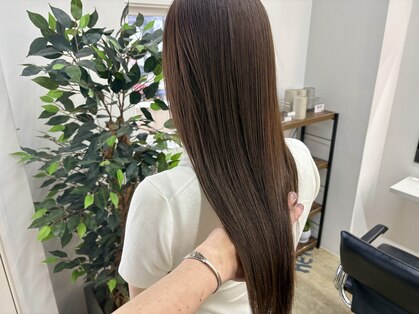 ネイビー(Navy)の写真