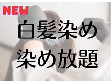 シーシーラボ(C,C-Lab)