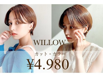 ウィロー(WILLOW)の写真