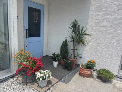 デフィ(defi)の写真