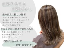 ヘアーディア みどり店(Hair...DiA)の雰囲気（お洒落白髪染めもViasにお任せ♪[ブリーチ/髪質改善/リタッチ]）