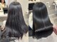 ニッティ(nittio)の写真