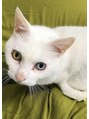 ロンド パルティール 大宮(Lond partir) 動物大好き、オッドアイの白猫と一緒に住んでます♪