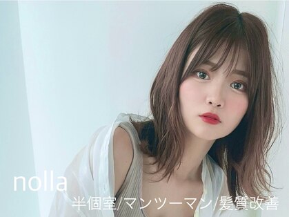 ノーラ(nolla)の写真