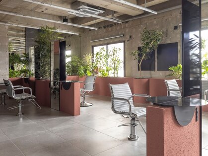 キャラハーフ 池袋東口店(KYARA HALF)の写真