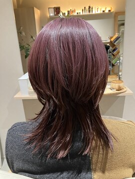 本と南風 guest design