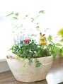 リラックスアンドヘアサロン リモ(Relax&Hair Salon Rimo)&nbsp;観葉植物が大好き