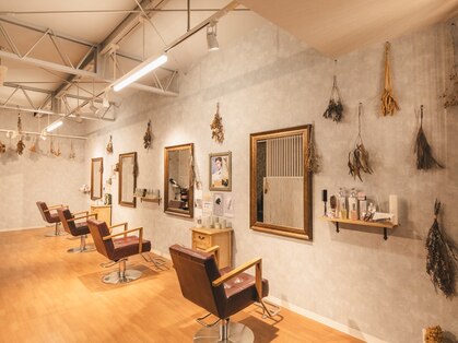 マスト ヘアー(must hair)の写真