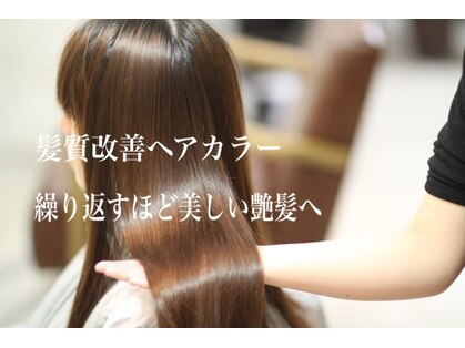 アミーチ(AMICI)の写真
