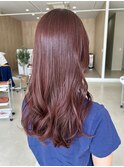 ピンクラベンダー
