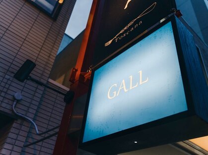 ガル(GALL)の写真