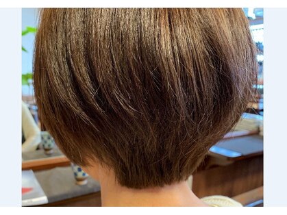 ヘアーコレクションの写真