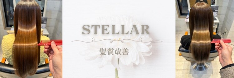 ステラ(Stellar)のサロンヘッダー
