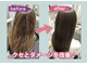 リリーヘアー(Lilly hair)の写真