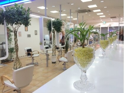 ヘアーデザイン シースタイル(HAIR DESIGN C STYLE)の写真