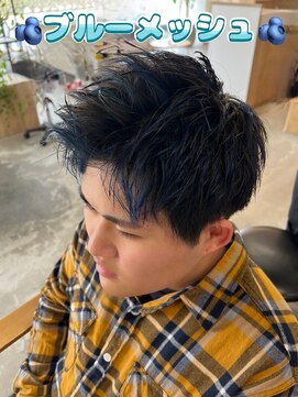 サロン(SALON) メンズブルーメッシュ