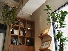 ルーム 烏丸(Room)の雰囲気（店内インテリアはスタッフのセレクト。）