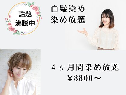 シーシーラボ(C,C-Lab)の写真