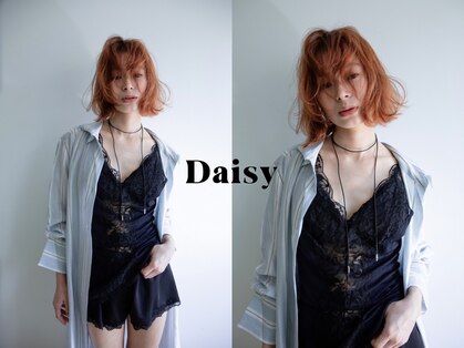 デイジー(Daisy)の写真