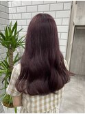 秋のピンクラベンダー！