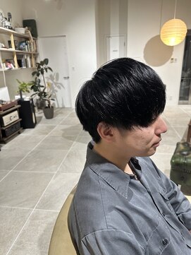 シラス(SiLasu) ブルーブラックメンズマッシュ