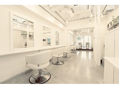 キミドリ(KIMIDORI)の写真