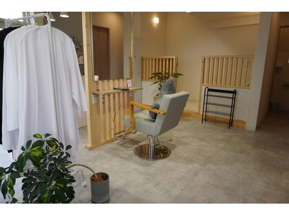 アクラ(aqula)の写真