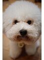 テン(TEN.) TEN. style