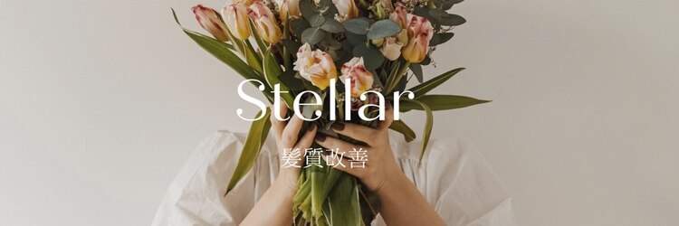 ステラ(Stellar)のサロンヘッダー