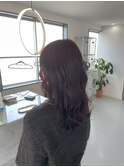 ラベンダーカラー