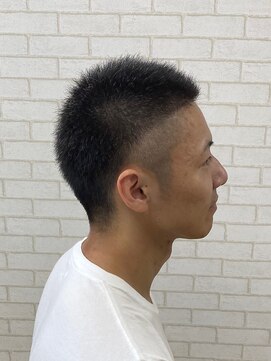 ルピナス(Lupinus) ボウズモヒカン