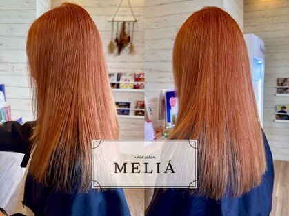 メリア(MELIA)の写真