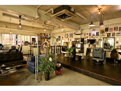 ブラックキャット(BLACK CAT)の写真