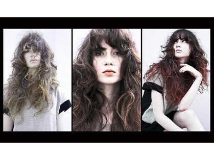 ボニート(Bonito)の写真