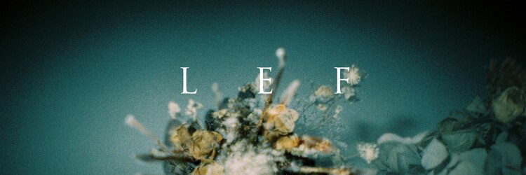 レフ(LEF)のサロンヘッダー
