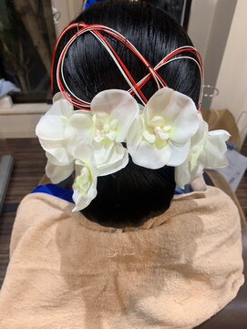 エフプロモーションヴァンカウンシルブリーズ(VAN COUNCIL BReeze) アップスタイル