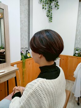 猫と三日月の写真/【肌の弱いあなたの為の美容室】 低刺激のオーがニックやノンジアミンのカラー材で綺麗なツヤ髪に♪