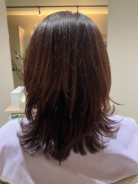 本と南風 guest design