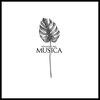 ムジカ(MUSICA)のお店ロゴ