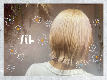 バト(vato)の写真