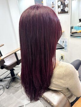 エルパライソ リフォ(Elparaiso Reff) ボルドーカラー