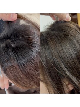 エメ(aimer) ブライツカラー/白髪ぼかし/弘前市