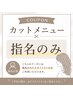 【平日限定】リタッチ(根元染め)＋全体メンテナンスカット