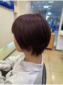 大人可愛い艶カラーカシスピンク