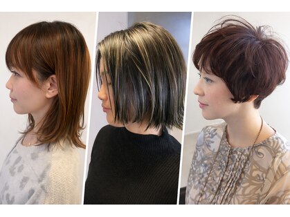 アナログノイ(analog noi)の写真